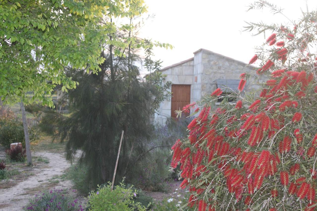 Agroturisme Es Raco De Maria María de la Salud Dış mekan fotoğraf